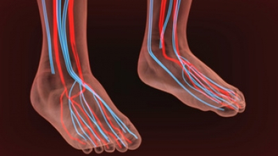 Recognizing Symptoms of Poor Foot Circulation